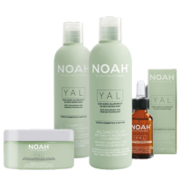 NOAH